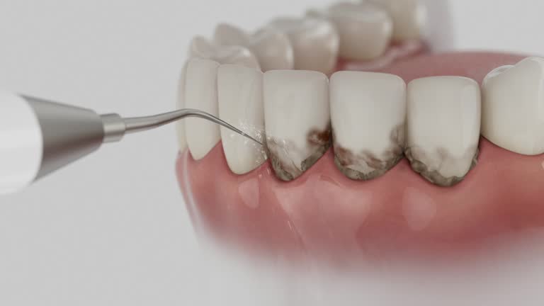 Reliable Dental contractor in Monterey Park, CA by Dentist Open Now
